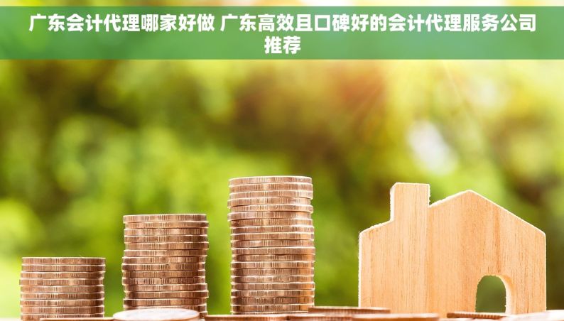 广东会计代理哪家好做 广东高效且口碑好的会计代理服务公司推荐