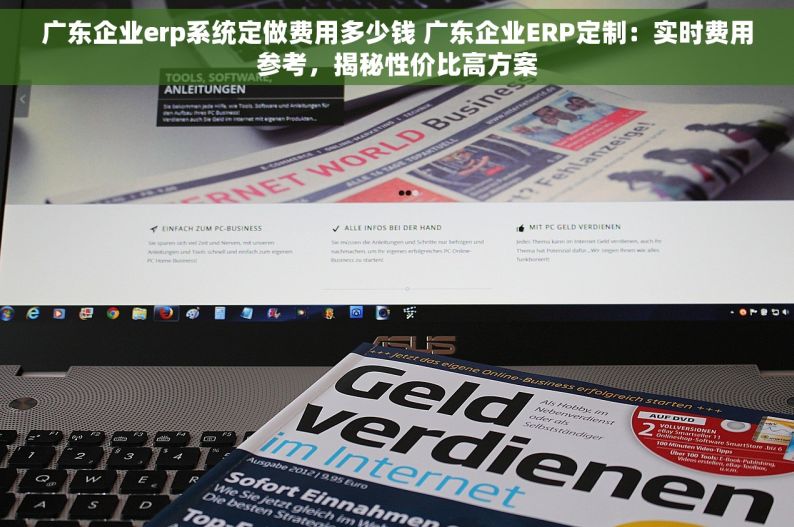 广东企业erp系统定做费用多少钱 广东企业ERP定制：实时费用参考，揭秘性价比高方案