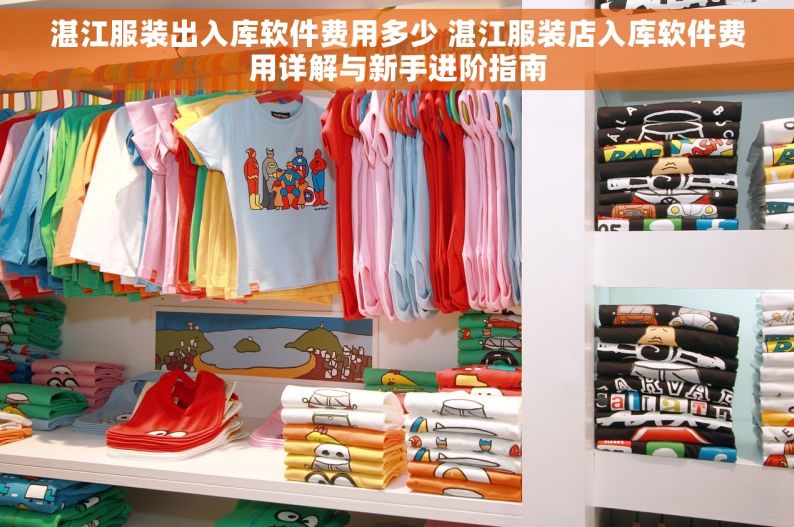 湛江服装出入库软件费用多少 湛江服装店入库软件费用详解与新手进阶指南