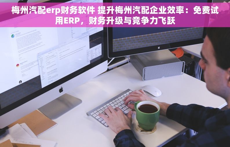 梅州汽配erp财务软件 提升梅州汽配企业效率：免费试用ERP，财务升级与竞争力飞跃