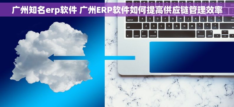 广州知名erp软件 广州ERP软件如何提高供应链管理效率