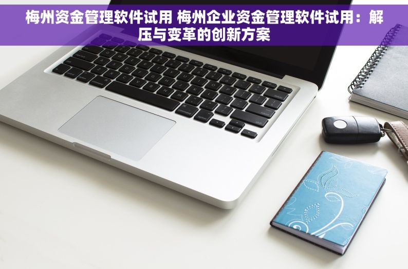 梅州资金管理软件试用 梅州企业资金管理软件试用：解压与变革的创新方案