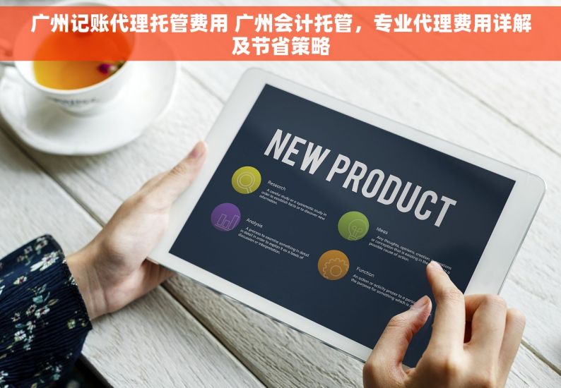 广州记账代理托管费用 广州会计托管，专业代理费用详解及节省策略