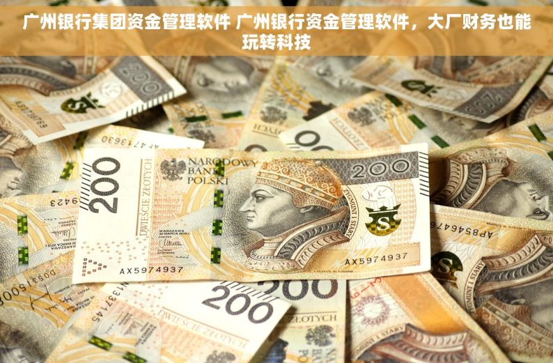 广州银行集团资金管理软件 广州银行资金管理软件，大厂财务也能玩转科技