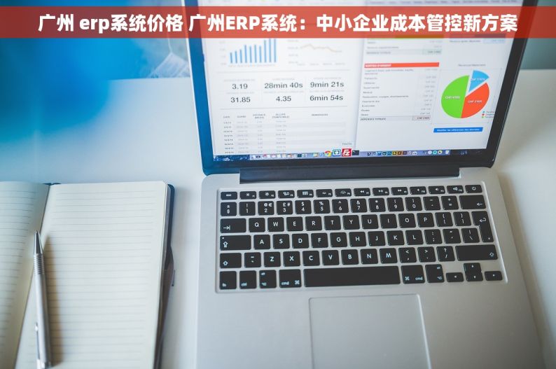 广州 erp系统价格 广州ERP系统：中小企业成本管控新方案