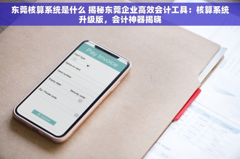 东莞核算系统是什么 揭秘东莞企业高效会计工具：核算系统升级版，会计神器揭晓