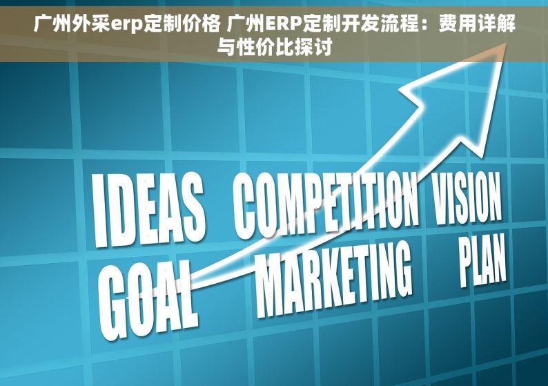 广州外采erp定制价格 广州ERP定制开发流程：费用详解与性价比探讨