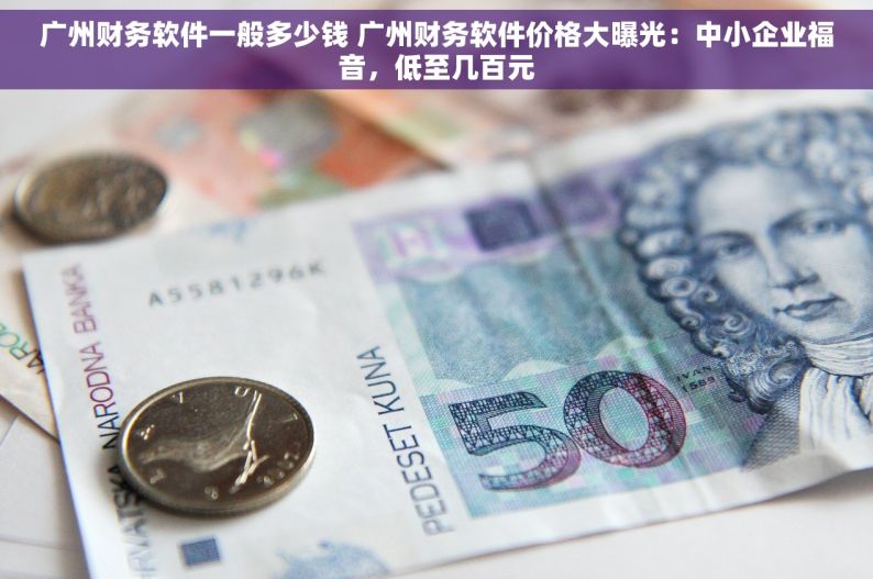 广州财务软件一般多少钱 广州财务软件价格大曝光：中小企业福音，低至几百元