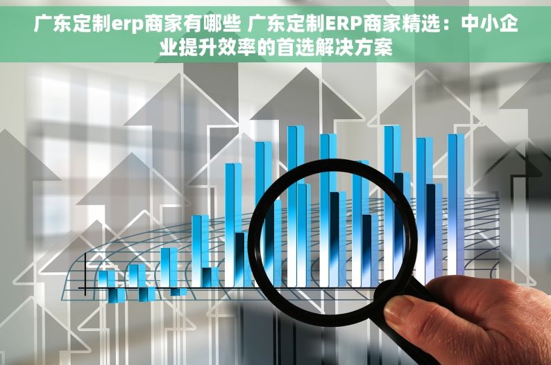 广东定制erp商家有哪些 广东定制ERP商家精选：中小企业提升效率的首选解决方案