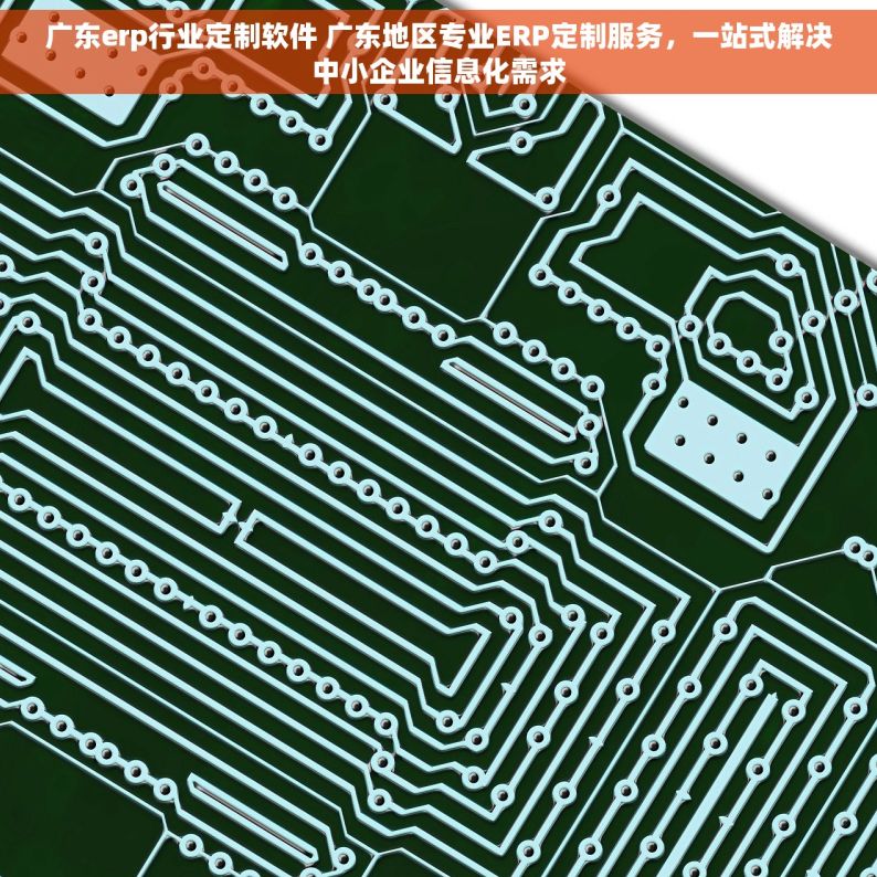 广东erp行业定制软件 广东地区专业ERP定制服务，一站式解决中小企业信息化需求