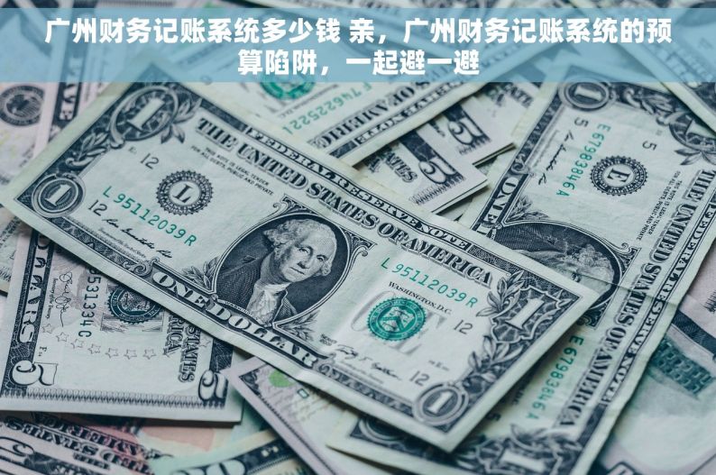 广州财务记账系统多少钱 亲，广州财务记账系统的预算陷阱，一起避一避