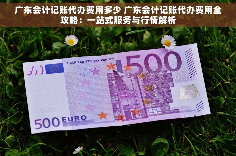 广东会计记账代办费用多少 广东会计记账代办费用全攻略：一站式服务与行情解析