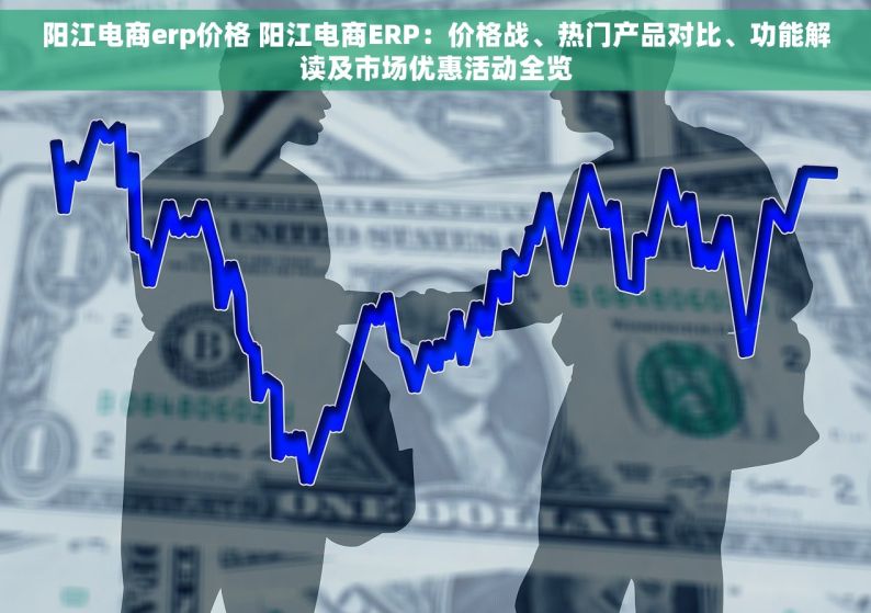 阳江电商erp价格 阳江电商ERP：价格战、热门产品对比、功能解读及市场优惠活动全览
