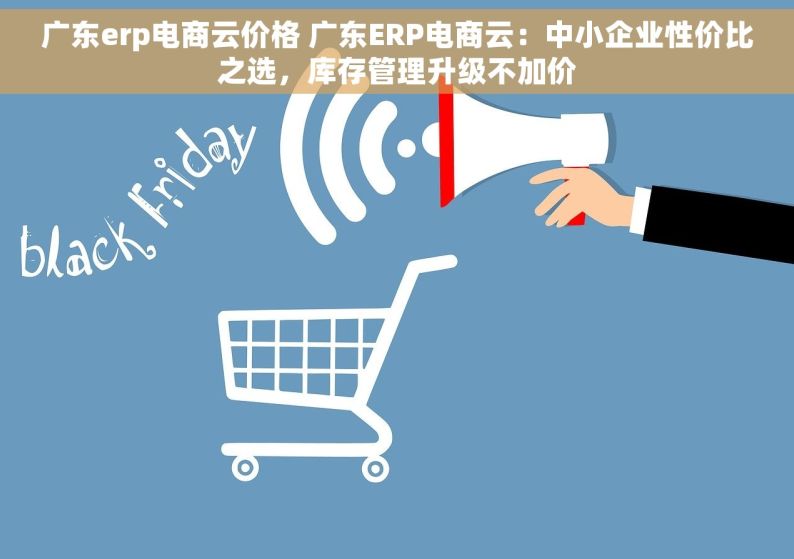 广东erp电商云价格 广东ERP电商云：中小企业性价比之选，库存管理升级不加价