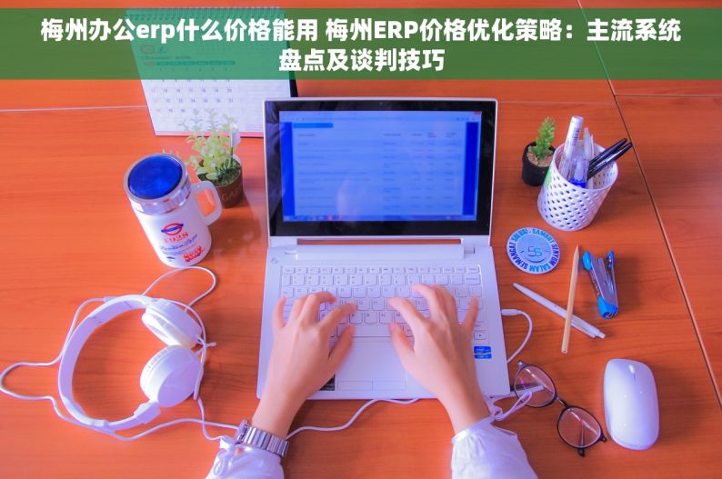 梅州办公erp什么价格能用 梅州ERP价格优化策略：主流系统盘点及谈判技巧