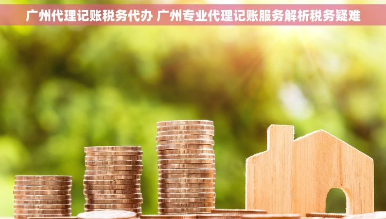 广州代理记账税务代办 广州专业代理记账服务解析税务疑难