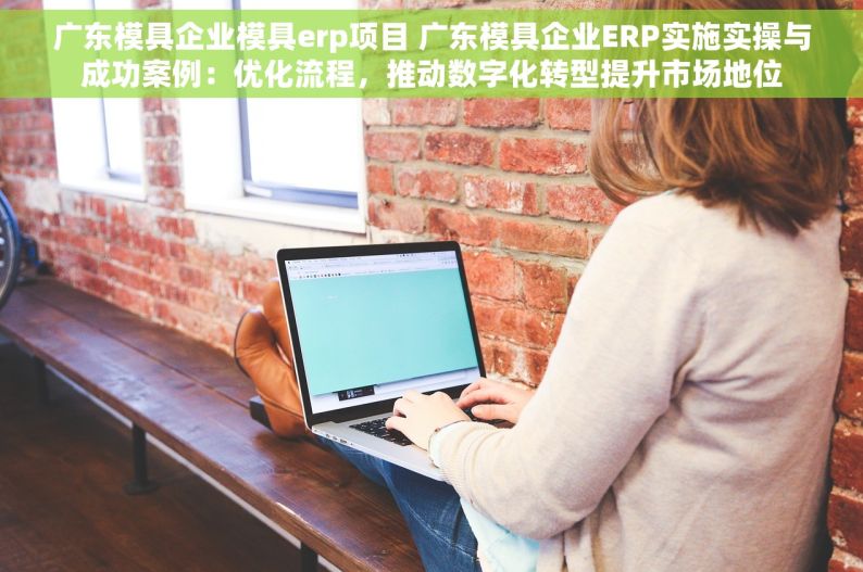 广东模具企业模具erp项目 广东模具企业ERP实施实操与成功案例：优化流程，推动数字化转型提升市场地位