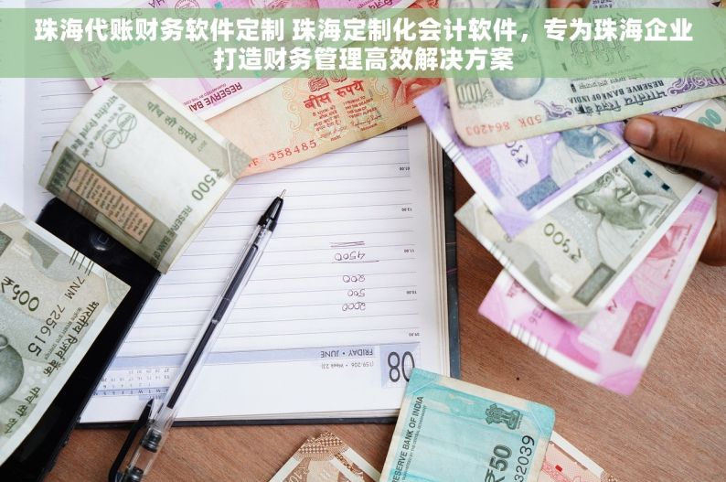 珠海代账财务软件定制 珠海定制化会计软件，专为珠海企业打造财务管理高效解决方案