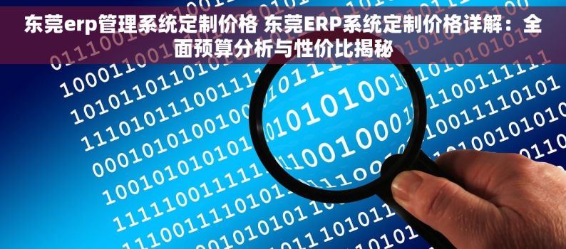 东莞erp管理系统定制价格 东莞ERP系统定制价格详解：全面预算分析与性价比揭秘