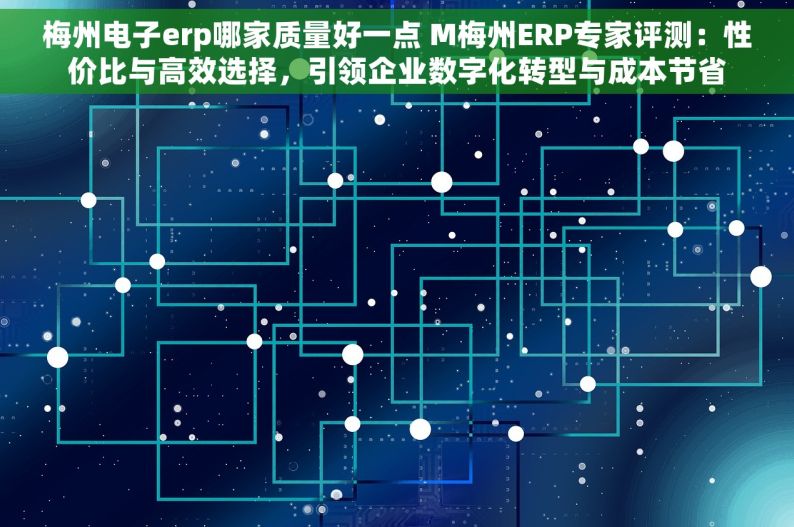 梅州电子erp哪家质量好一点 M梅州ERP专家评测：性价比与高效选择，引领企业数字化转型与成本节省