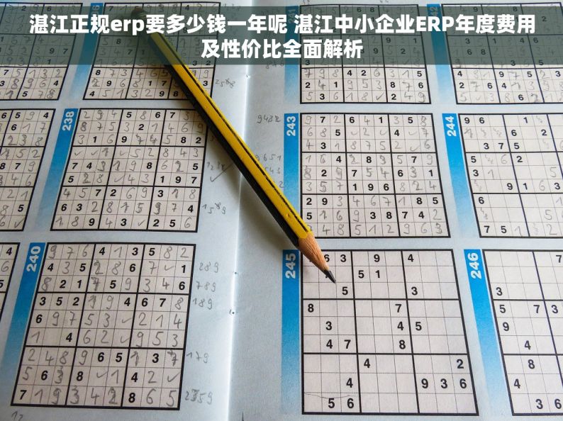 湛江正规erp要多少钱一年呢 湛江中小企业ERP年度费用及性价比全面解析