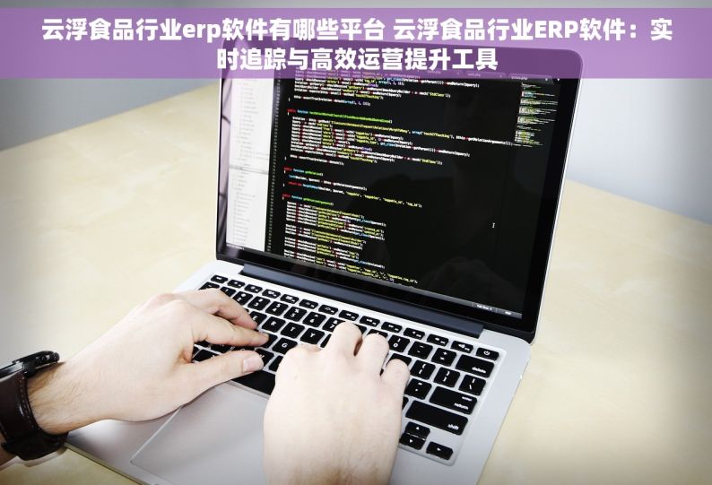 云浮食品行业erp软件有哪些平台 云浮食品行业ERP软件：实时追踪与高效运营提升工具