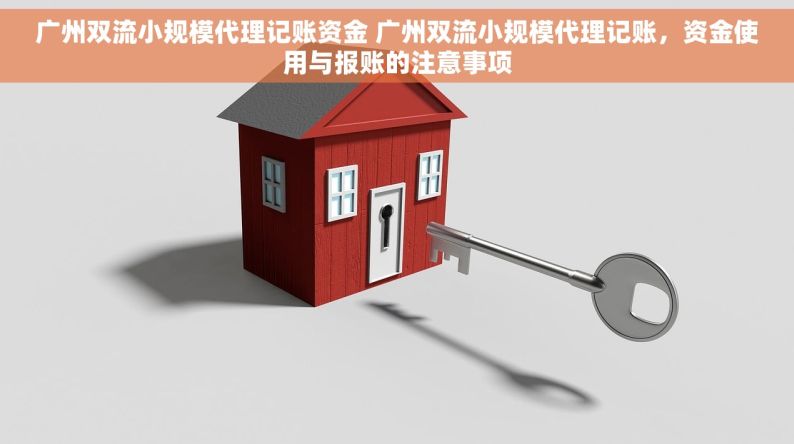 广州双流小规模代理记账资金 广州双流小规模代理记账，资金使用与报账的注意事项