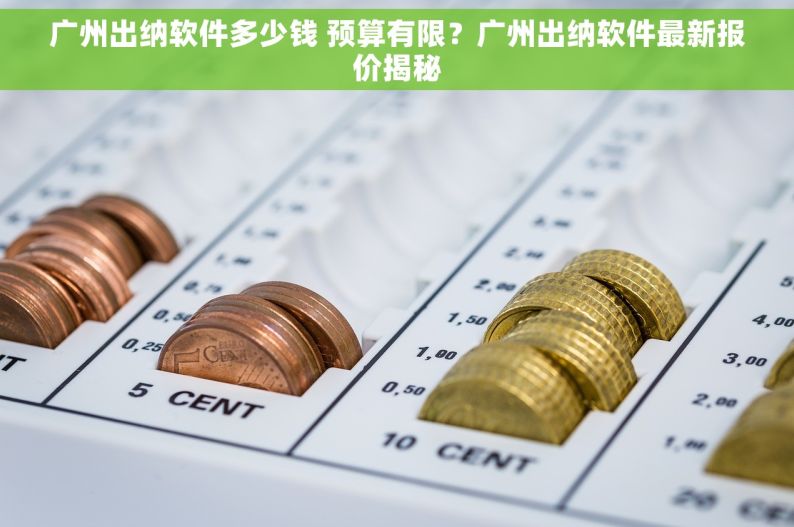 广州出纳软件多少钱 预算有限？广州出纳软件最新报价揭秘