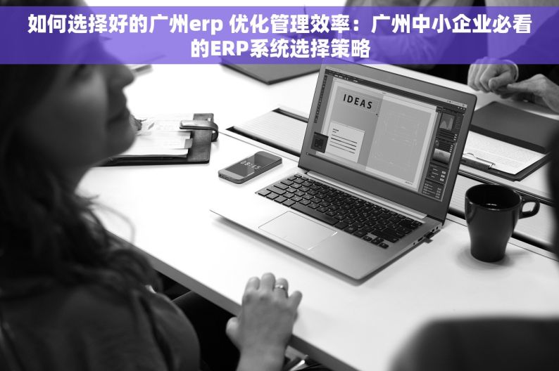 如何选择好的广州erp 优化管理效率：广州中小企业必看的ERP系统选择策略