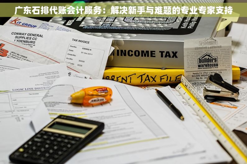 广东石排代账会计服务：解决新手与难题的专业专家支持