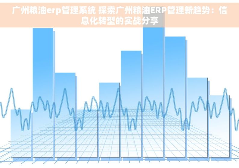 广州粮油erp管理系统 探索广州粮油ERP管理新趋势：信息化转型的实战分享