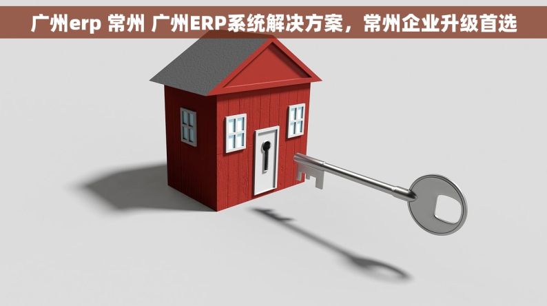 广州erp 常州 广州ERP系统解决方案，常州企业升级首选