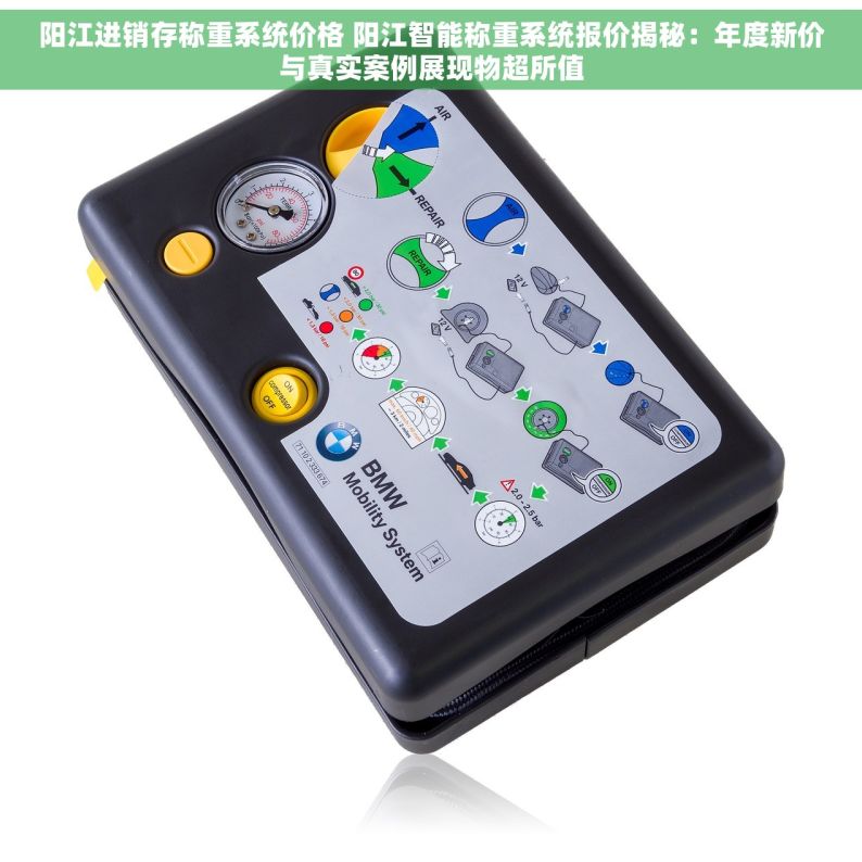 阳江进销存称重系统价格 阳江智能称重系统报价揭秘：年度新价与真实案例展现物超所值
