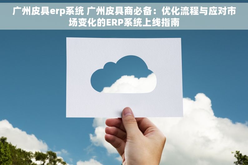 广州皮具erp系统 广州皮具商必备：优化流程与应对市场变化的ERP系统上线指南
