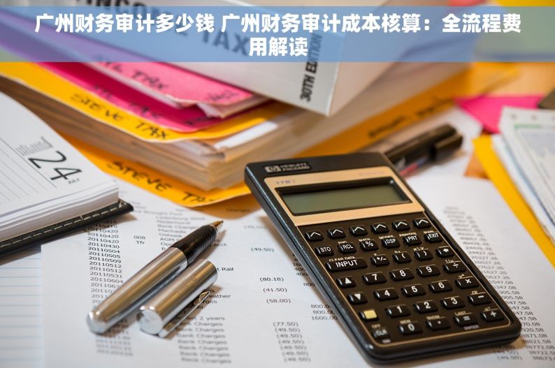 广州财务审计多少钱 广州财务审计成本核算：全流程费用解读