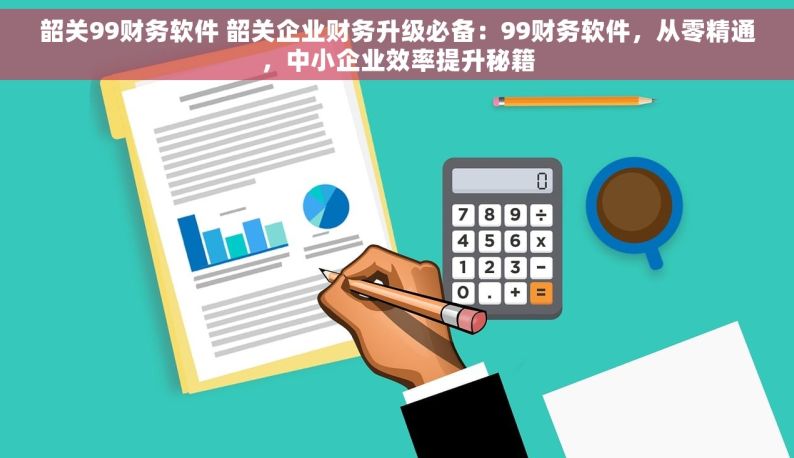 韶关99财务软件 韶关企业财务升级必备：99财务软件，从零精通，中小企业效率提升秘籍