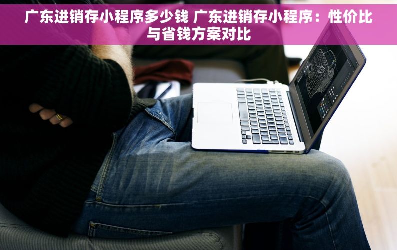 广东进销存小程序多少钱 广东进销存小程序：性价比与省钱方案对比