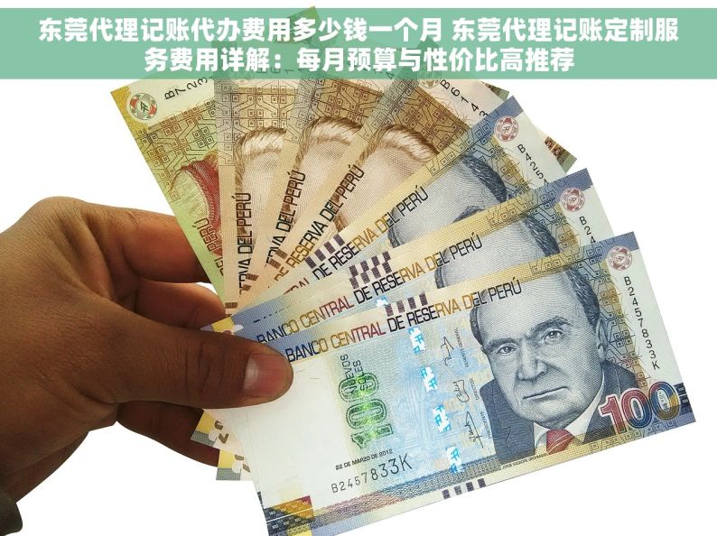 东莞代理记账代办费用多少钱一个月 东莞代理记账定制服务费用详解：每月预算与性价比高推荐