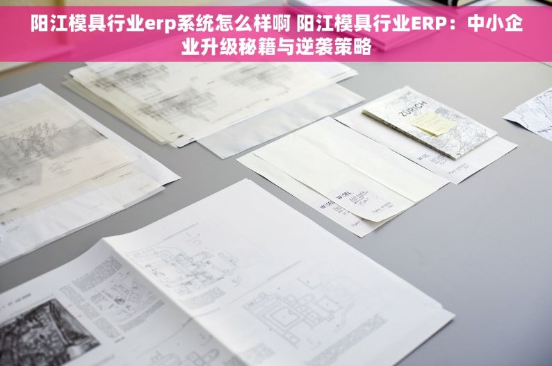 阳江模具行业erp系统怎么样啊 阳江模具行业ERP：中小企业升级秘籍与逆袭策略