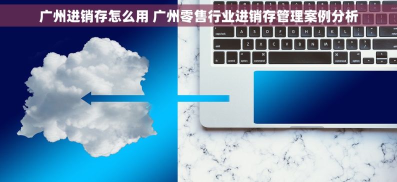 广州进销存怎么用 广州零售行业进销存管理案例分析