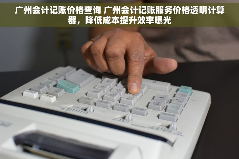 广州会计记账价格查询 广州会计记账服务价格透明计算器，降低成本提升效率曝光