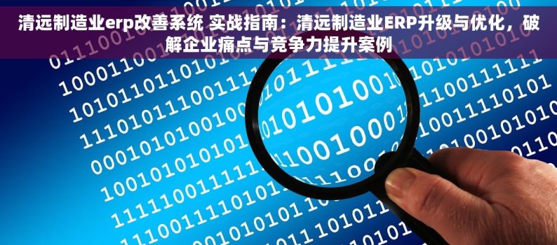 清远制造业erp改善系统 实战指南：清远制造业ERP升级与优化，破解企业痛点与竞争力提升案例