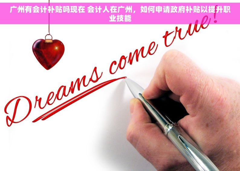 广州有会计补贴吗现在 会计人在广州，如何申请政府补贴以提升职业技能