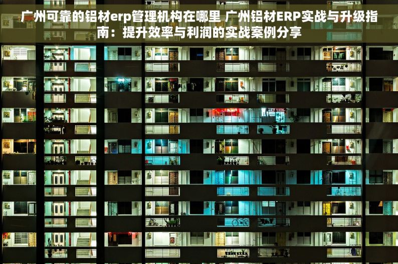广州可靠的铝材erp管理机构在哪里 广州铝材ERP实战与升级指南：提升效率与利润的实战案例分享
