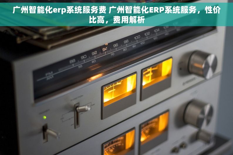 广州智能化erp系统服务费 广州智能化ERP系统服务，性价比高，费用解析
