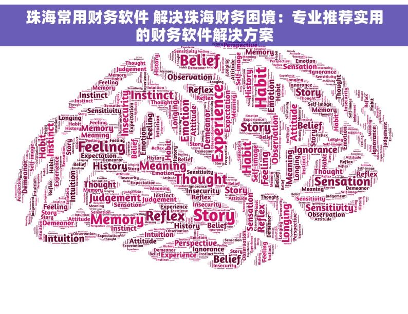 珠海常用财务软件 解决珠海财务困境：专业推荐实用的财务软件解决方案