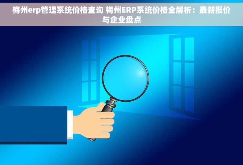 梅州erp管理系统价格查询 梅州ERP系统价格全解析：最新报价与企业盘点