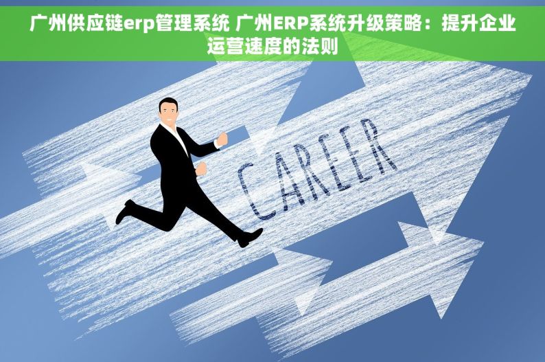 广州供应链erp管理系统 广州ERP系统升级策略：提升企业运营速度的法则