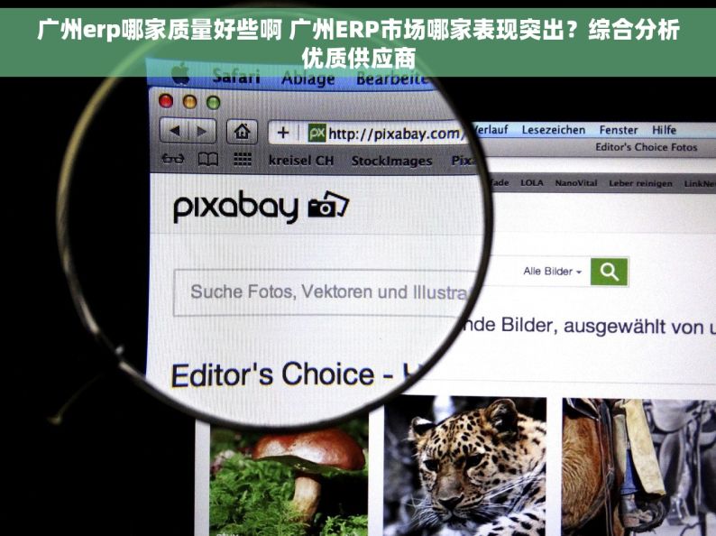 广州erp哪家质量好些啊 广州ERP市场哪家表现突出？综合分析优质供应商