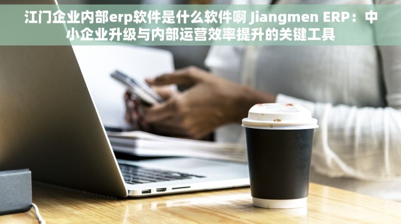 江门企业内部erp软件是什么软件啊 Jiangmen ERP：中小企业升级与内部运营效率提升的关键工具